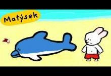 Matysek a Jaja: Delfin