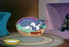 Tom a Jerry: Slon