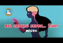 Bol raz jeden zivot - Mozog