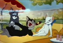 Tom a Jerry: Jarna laska