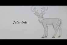 Jelencek (audiorozpravka)