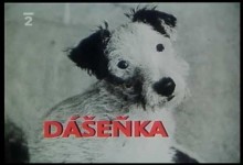 Dasenka: Ako sa narodila