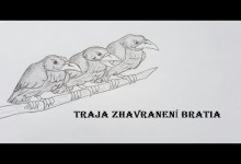 Traja zhavraneni bratia (audio rozpravka)