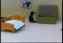 Pingu: Duch